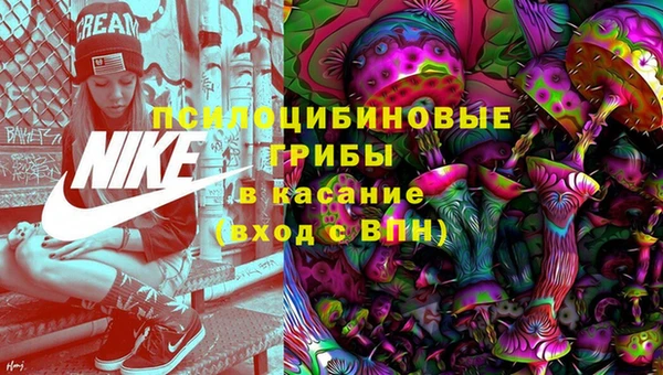 СК Абинск