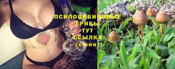 СК Абинск