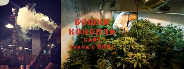 СК Абинск