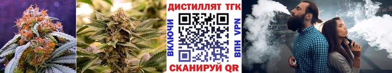 ТГК концентрат  Богородицк 