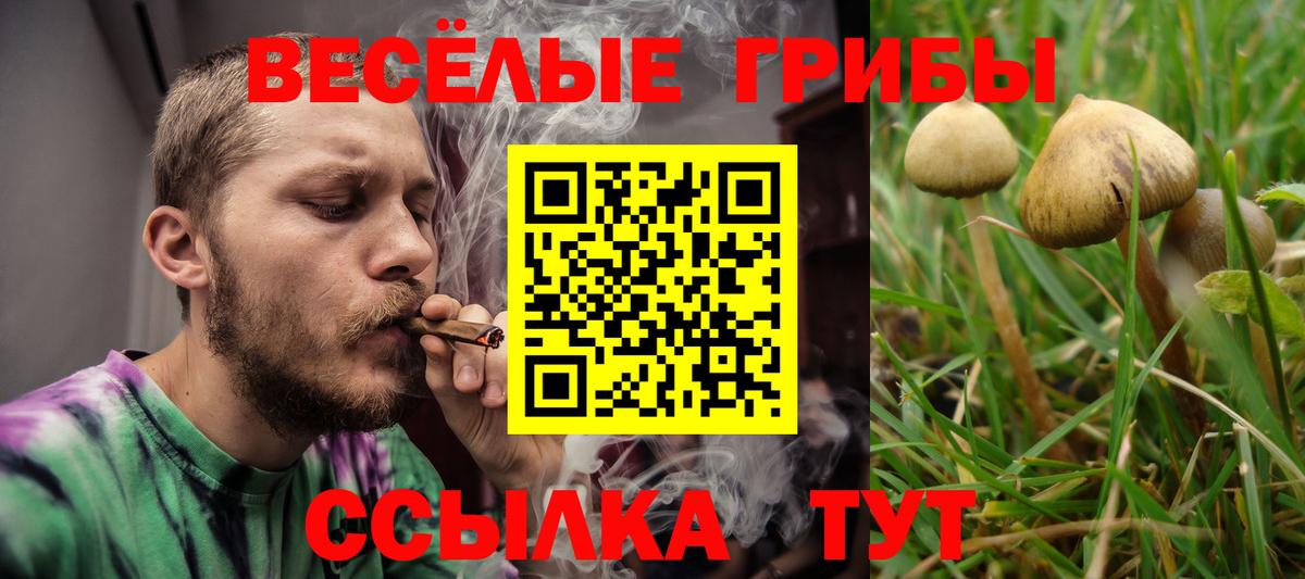 Галлюциногенные грибы Magic Shrooms Богородицк